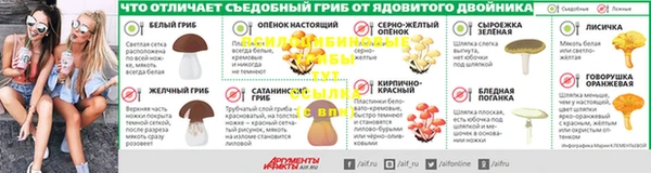 молекула духа Вязники