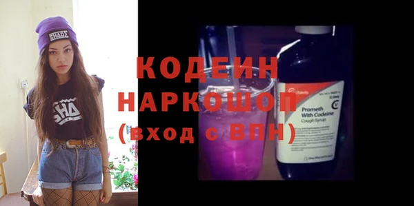 СК Вязьма