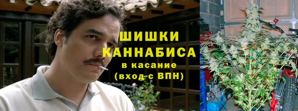 СК Вязьма
