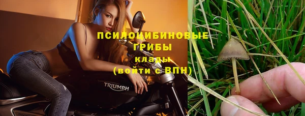 СК Вязьма