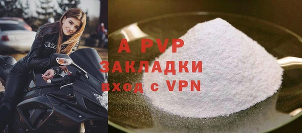 СК Вязьма