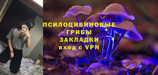 марки nbome Горнозаводск